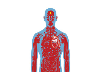illustration anatomy of  human body design vector colourful #9
