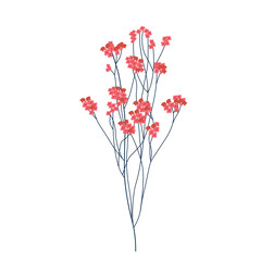 Gypsophila pink vector stock illustration. A branch of dry red flowers. Isolated on a white background.