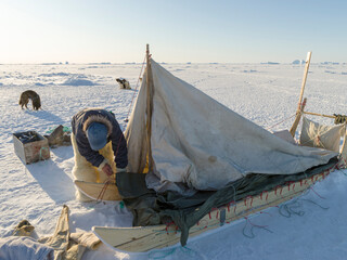 Inuit hunter wearing traditional trousers and boots made from polar bear fur is making his camp on the sea ice of the Melville Bay near Kullorsuaq in North Greenland. North America, danish territory © Danita Delimont