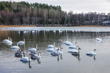 Zima na Warmii . © Janusz Lipiński