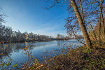 Fototapeta na wymiar Awesome Winter Day at Lake Born / Germany