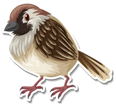 Little bird animal cartoon sticker