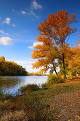 Fototapeta premium beautiful autumn landscape