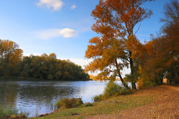Fototapeta premium beautiful autumn landscape