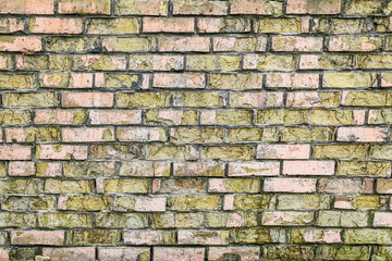 the old yellow brick wall