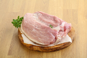 Piece of the raw pork meat