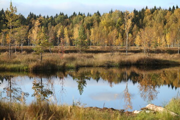 Colorful autumn landscape. Beauty of nature concept background