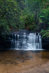 Small rocky cascade in the rainforest.