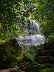 Fototapeta premium Big waterfall behind the rock and trees.