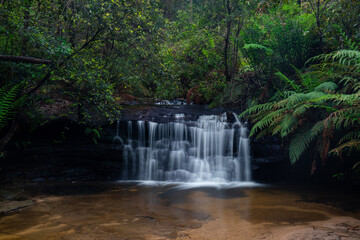 Obraz premium Small rocky cascade in the rainforest.