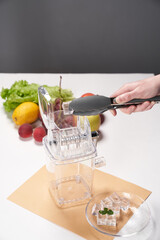 Detailed shot of a female hand holding tongs with an ice cube above an ice crusher. A glass plate with ice cubes is standing next to the ice crusher. There are different fruits and salad on the backgr - obrazy, fototapety, plakaty