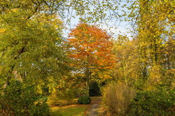 Autumn Impression at Park in Krefeld/ Germany