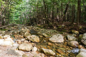 Sabbaday Brook along the Sabbaday Brook Trail in the White Mountain National Forest in New Hampshire, USA.