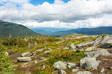 Landscape in the fragile Alpine zone of Mount Washington in New Hampshire