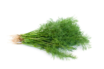 Fresh dill,Anethum graveolens isolated on white background.Vegetables for flavoring food.