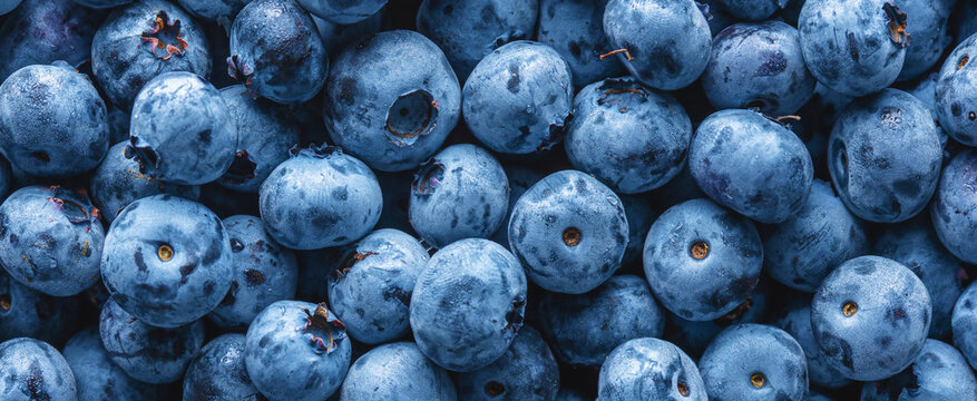Fresh blueberries close up Blueberry background