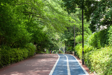 吞川緑道（東京都目黒区緑が丘）