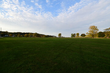 english landscape with trees