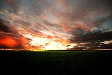 Green fields and enchanting evening sunset
