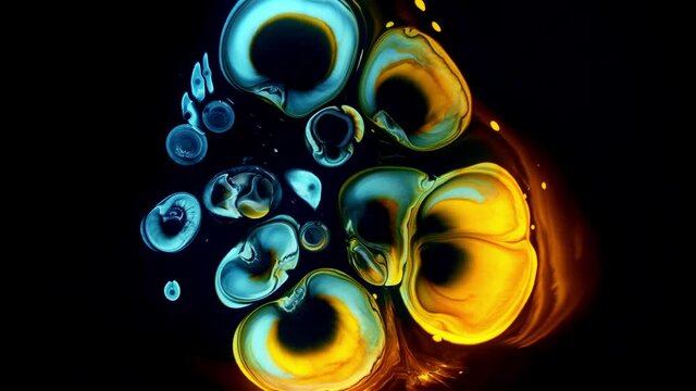 Abstract flowers Color Paint Pattern Moving Dripping Chaos Display Background Color Slow Motion Macro