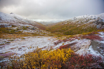 USA, Alaska. Fall colors in Denali National Park with snow dusting the landscape at Polychrome Pass.