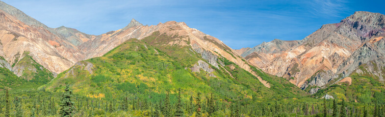 Fototapeta na wymiar USA, Alaska. Fall colors on Sheep Mountain in the Matanuska River Valley