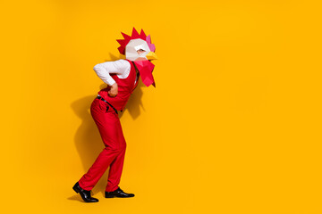 Photo of crazy guy entertaining carnival give absurd performance wear rooster mask red suit...