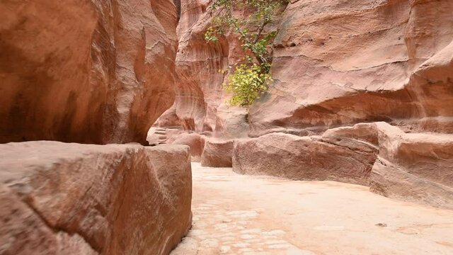 Stunning view of The Siq, The Siq  is the main entrance to the ancient Nabatean city of Petra in southern Jordan
