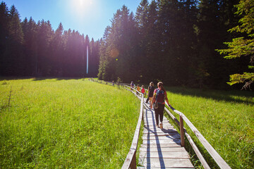 Group of people with children walking on wooden footpath over wetland at natural reserve . Summer...