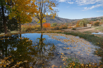 Autumn trees and leaves and water reflections in Gran Sasso in Abruzzo, Italy