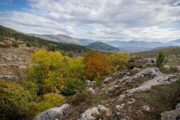 Fototapeta na wymiar Autumn landscape with bright trees in Gran Sasso in Abruzzo, Italy