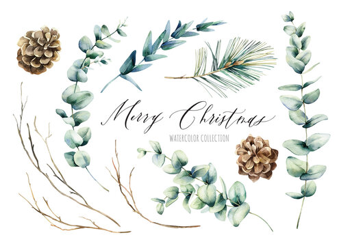 Watercolor Christmas set with pine cone and branches. Hand painted winter plants isolated on white background. Floral holiday illustration for design, print, fabric or background
