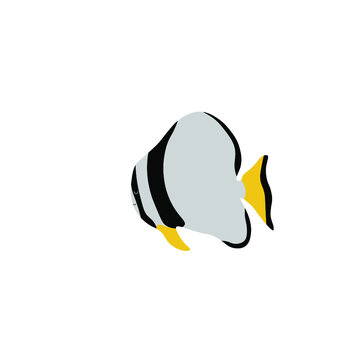 recommend clip art: Batfish Illustration. Cute happy batfish drawing