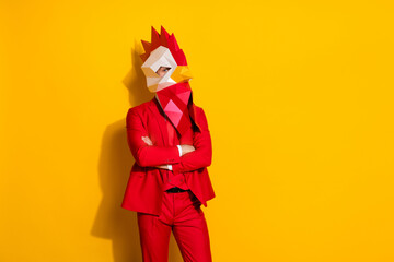 Photo of confident concentrated guy folded arms wear rooster polygonal mask red tuxedo isolated...
