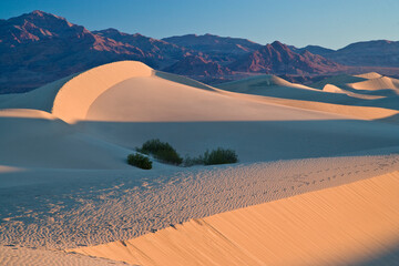 USA, California. Morning light on the Mesquite Flats sand dunes in Death Valley National Park.