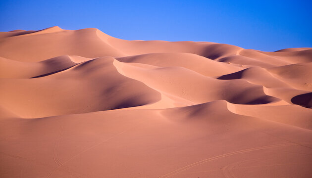 USA, California. Smooth, red dunes of the Algodones Dunes recreation area, also known as Imperial Sand Dunes.