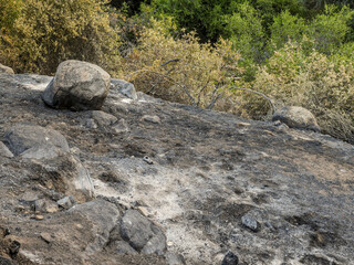 Plants in foreground vaporized by heat, effects of wildfire in Southern Sierra Nevada Mountains, from drought stressed forest