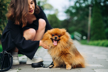 Beautiful woman in a black dress sits on the ground with a Spitz dog and plays with him nat walking in the park. lady walking the dog