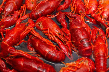 Chinese Spicy crayfish, Chinese Food.boiled crayfish on an iron plate. boiled red crayfish background for menu. top view, closeup,soft focus image.