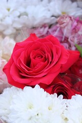 Obraz premium bouquet of red roses