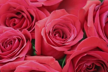 bouquet of red roses