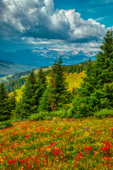 USA, Colorado, Vail. Meadow and mountain landscape. - obrazy, fototapety, plakaty