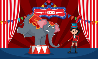 Elephant performance balancing standing two legs