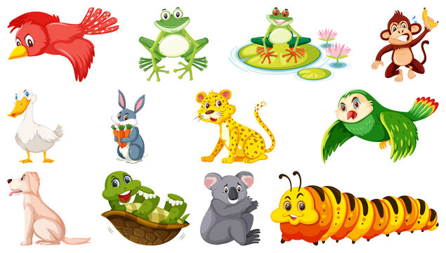 Set of isolated various animals