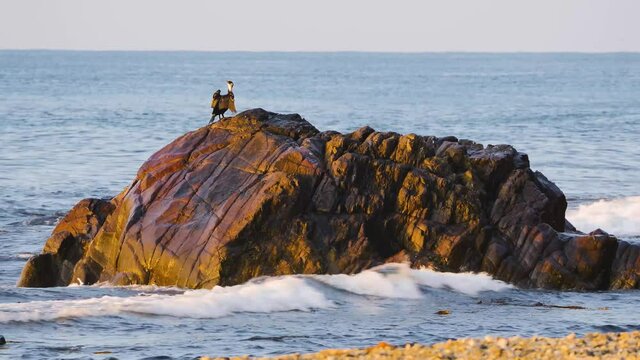 Dva Brata is a tiny island in the Sea of Japan