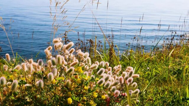 Dva Brata is a tiny island in the Sea of Japan