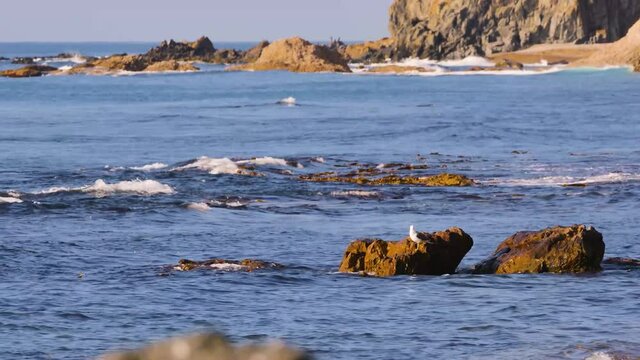 Dva Brata is a tiny island in the Sea of Japan