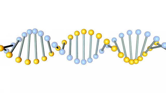 3D loop animation of DNA on a white background. Science and medicine concept.
