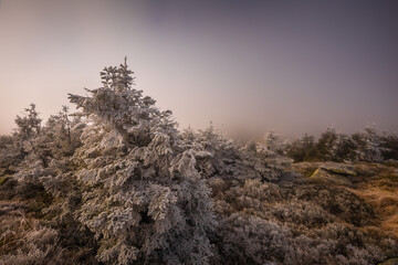 Autumn views from the Karkonosze Mountains, shrouded in mysterious mists.