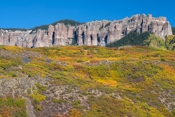 USA, Colorado. Uncompahgre National Forest, Cimarron Ridge, composed of volcanic tuff, above autumn colored Gambel oak trees.